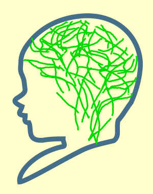 Boy's head after neuronal pruning outline of boy's head; neuron pruning indicated by few lines