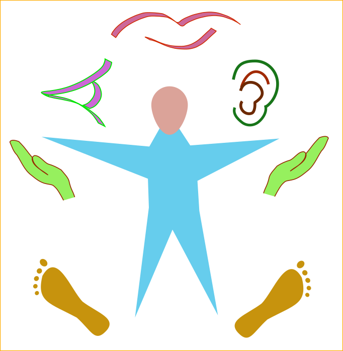 2-ThP-Overview-Fig4-Senses icon for the senses, body surrounded by 2 feet, 2 hands, an eye, a mount, an ear