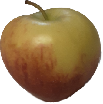 An apple